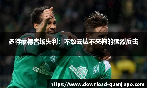 管家婆官网资料